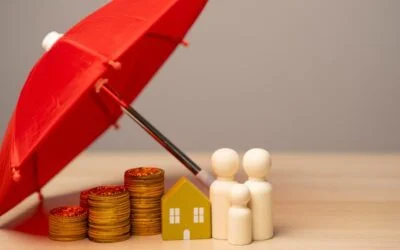 Asset Protection Trusts vs Other Options